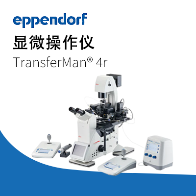 艾本德-TransferMan 4r 电动数控显微操作仪