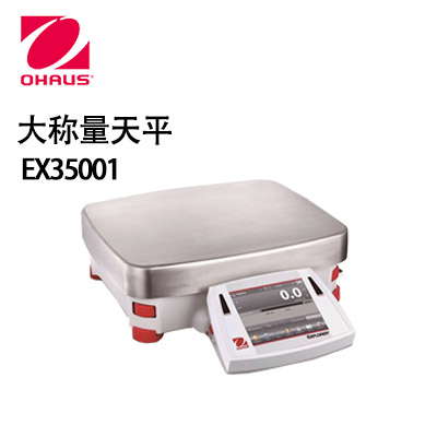 奥豪斯EXPLORER 大称量天平EX35001